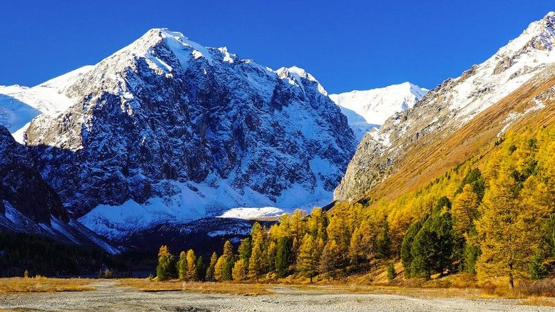 Актру, Алтай, Сибирь, Россия  фото превью