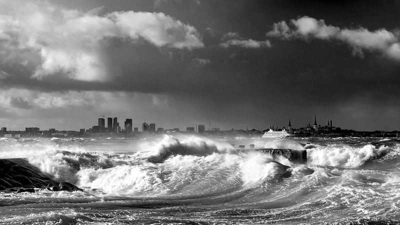 Tallinn 2023. фото превью
