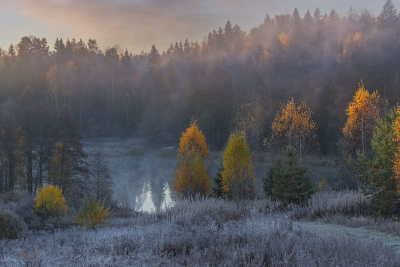 В Лутках. фото превью