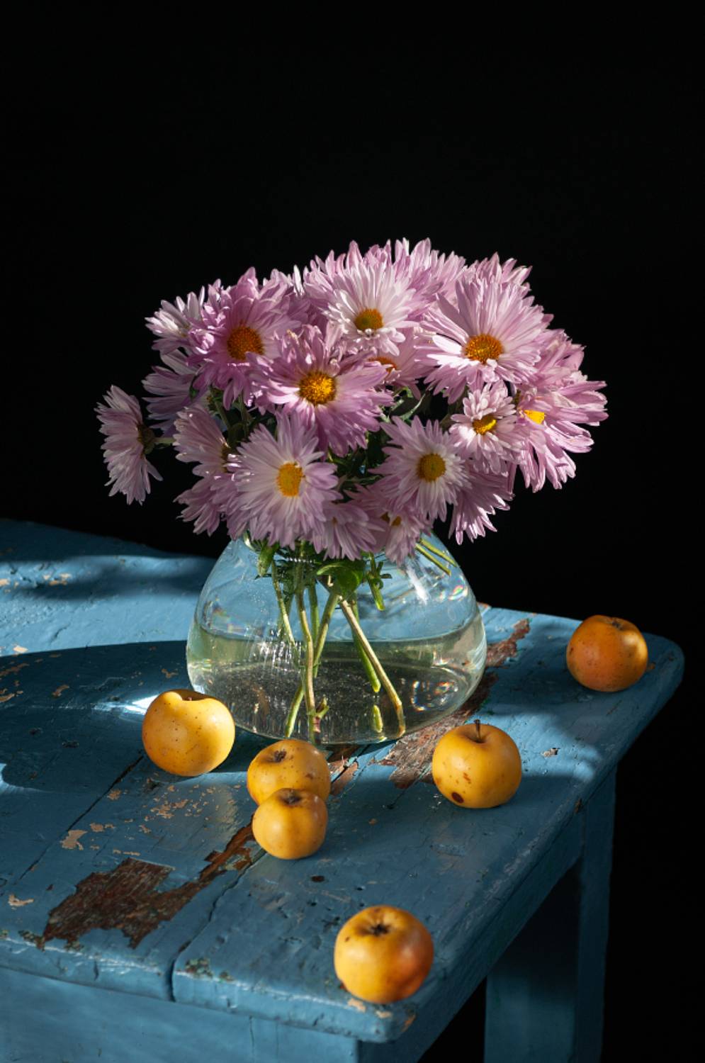 , Елена   Павлюк