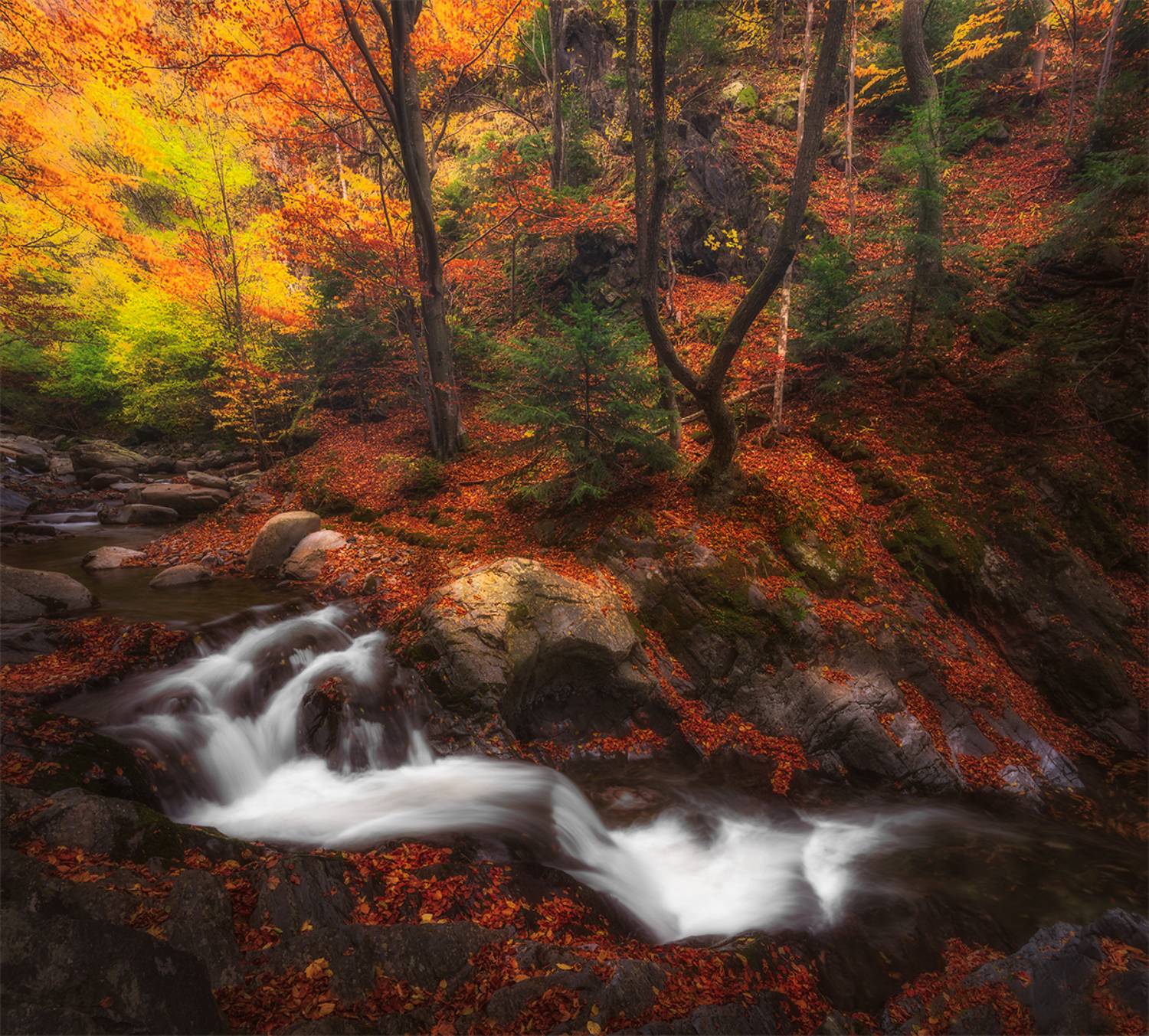 landscape, nature, scenery, forest, wood, autumn, fall, river, mountain, staraplanina, bulgaria, лес, Александров Александър