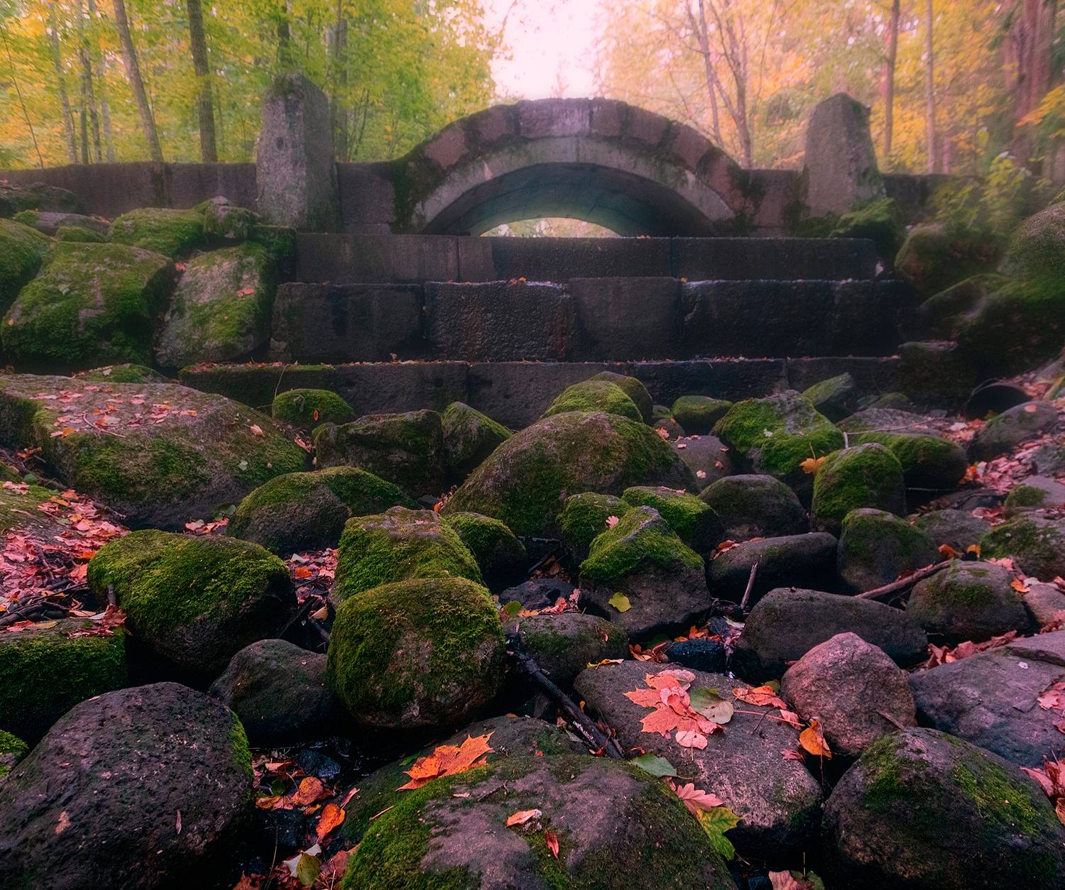 ленинградская обл.,парк усадьбы сергиевка, Александр Смыков