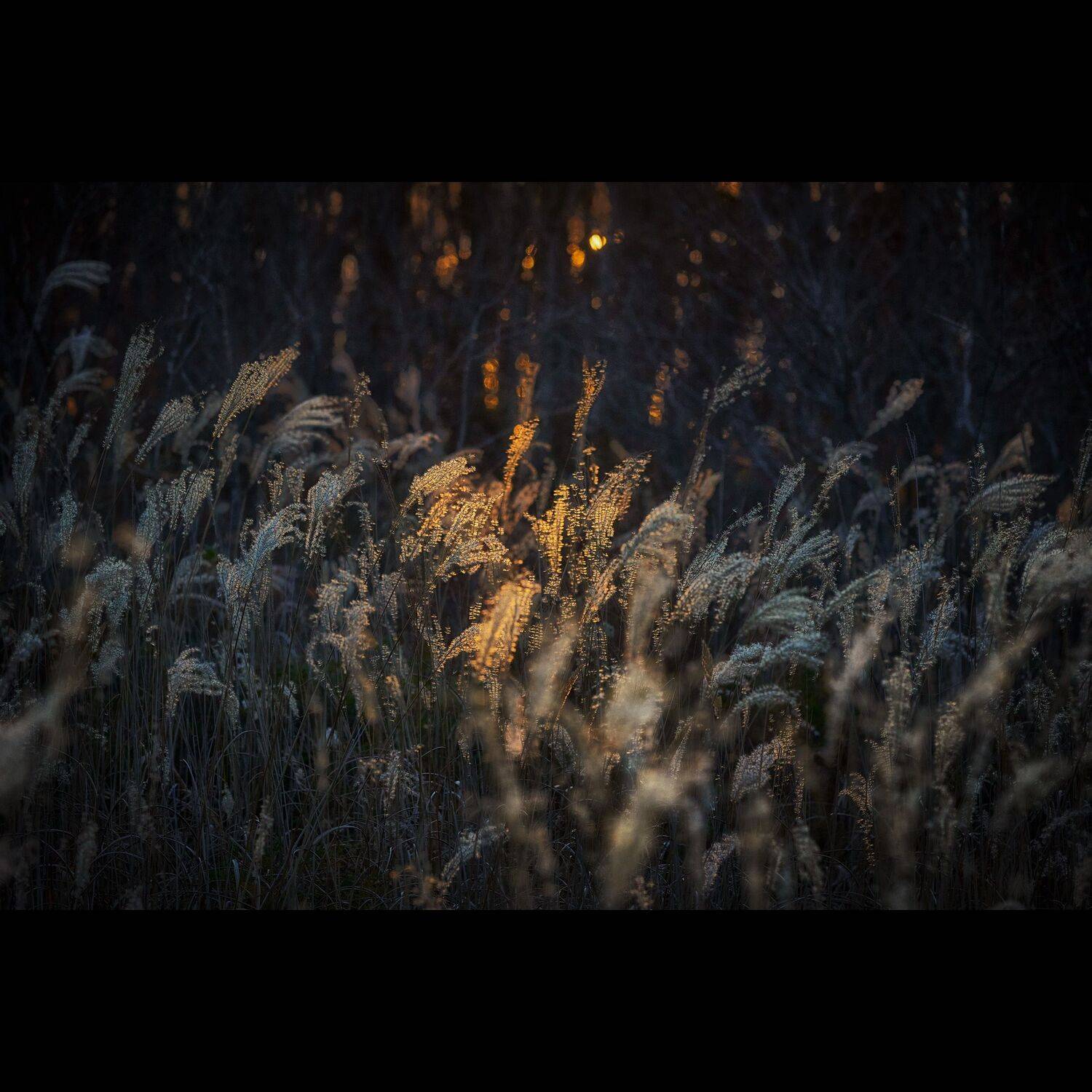 русский, остров русский, владивосток, осень, приморье, россия, приморский край, море, японское море, закат, кекур, природа, пейзаж, Ivan A. Godovikov