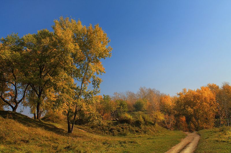 осень, сибирь, россия .. фото превью