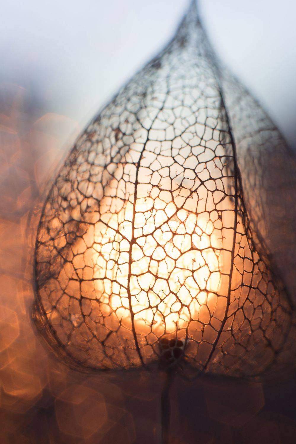 , Мария Александрова