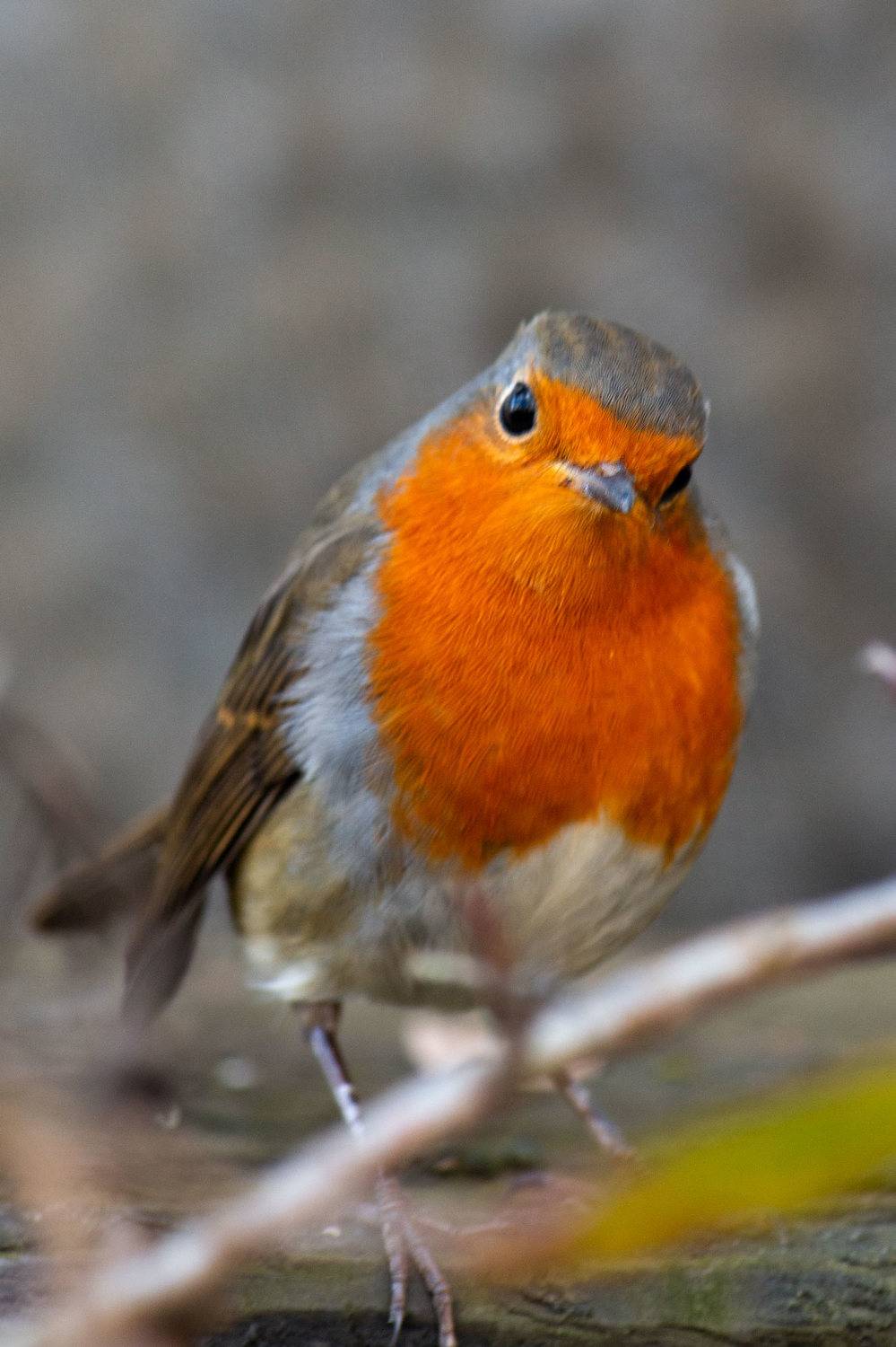 , Александр