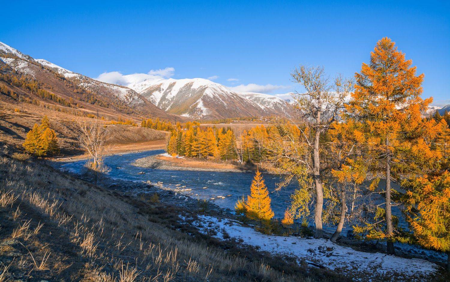 россия, горный алтай, река чуя, осень,вечер, Андрей Поляков