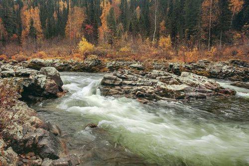 Осенний Казыр.