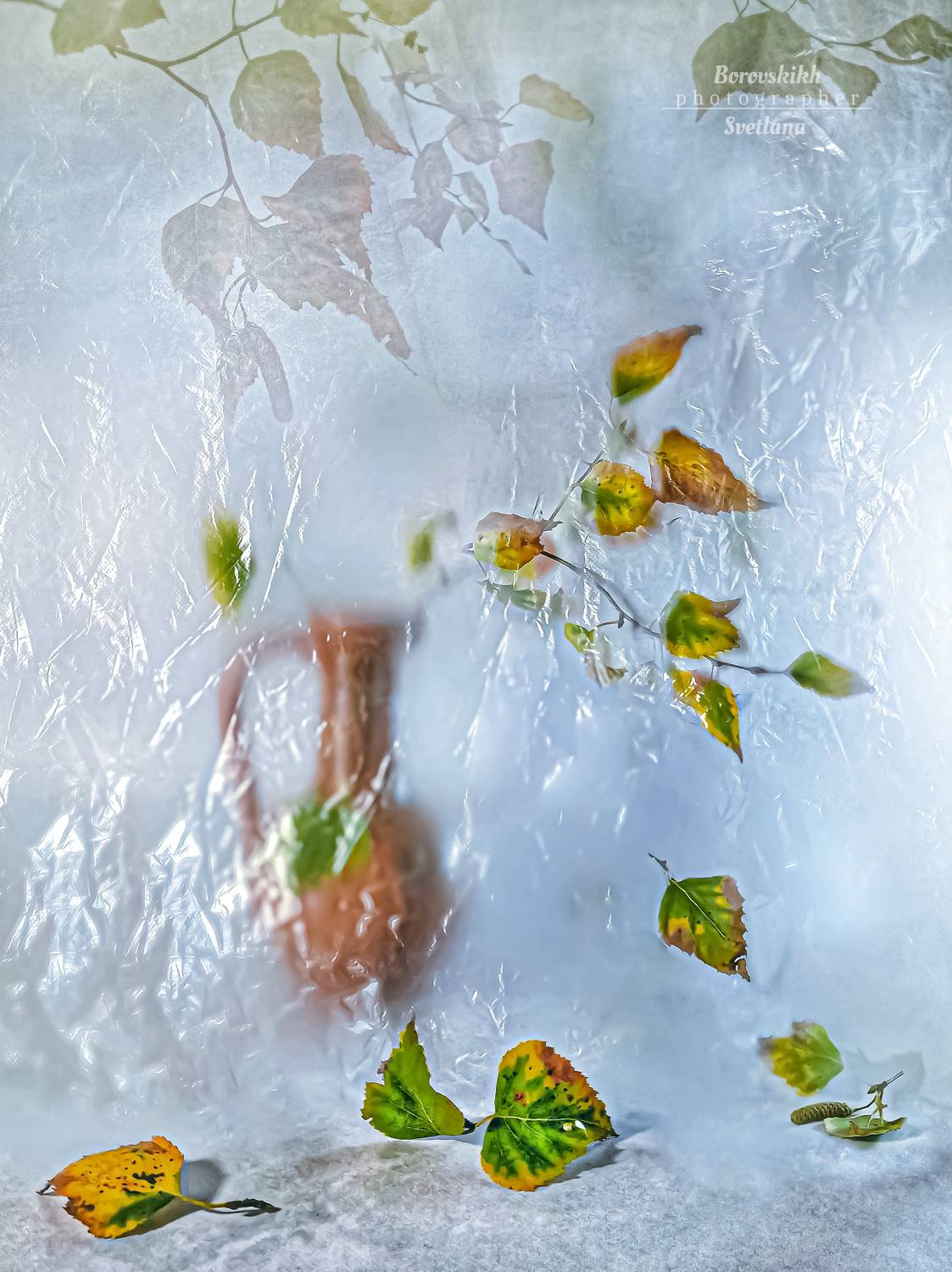 осень, плёнка,  ваза, осенний лист, Светлана Боровских