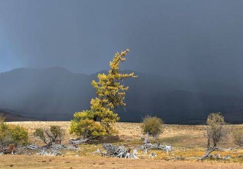 Солнечный свет