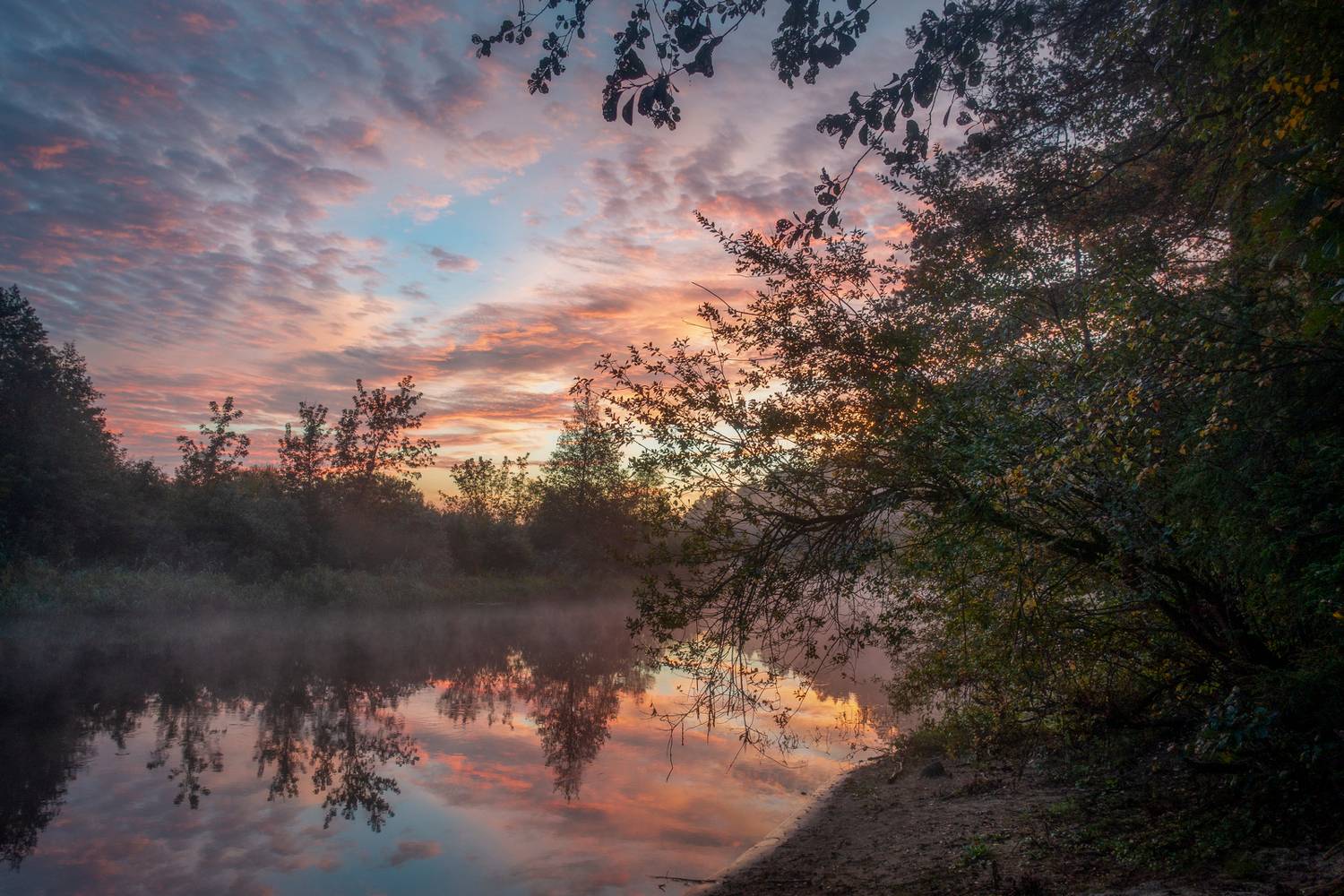 , Игорь Денисов