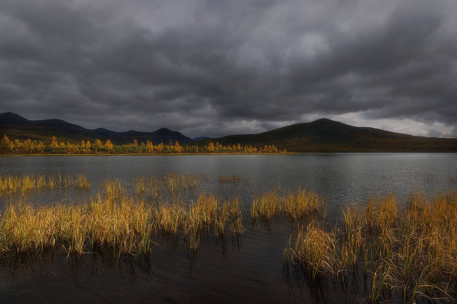 , Морозов Сергей