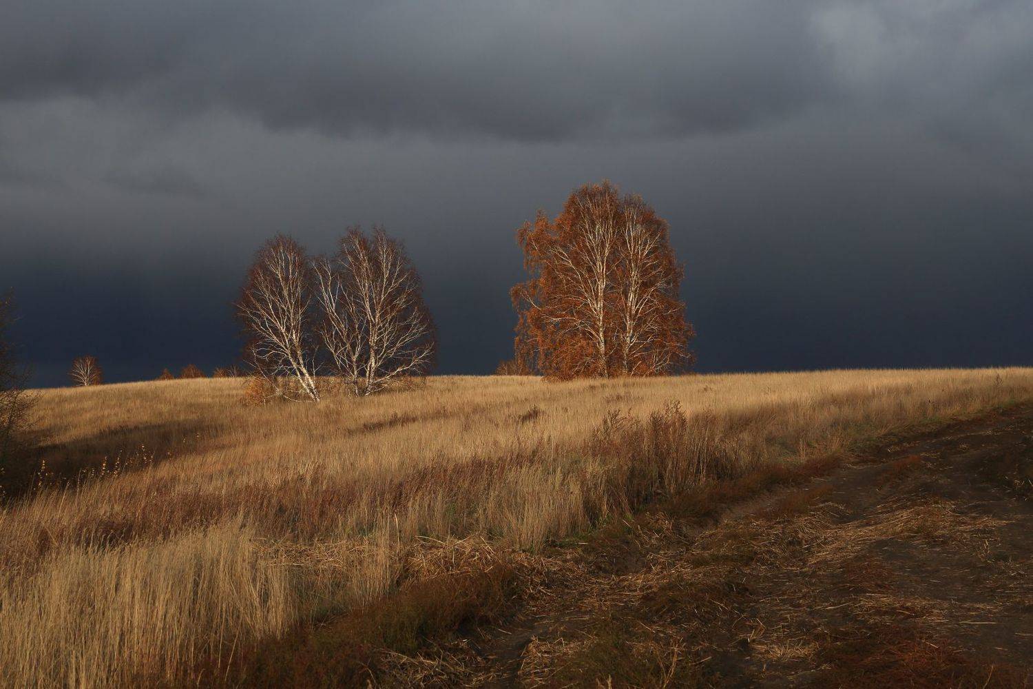 , Евгений Зинов