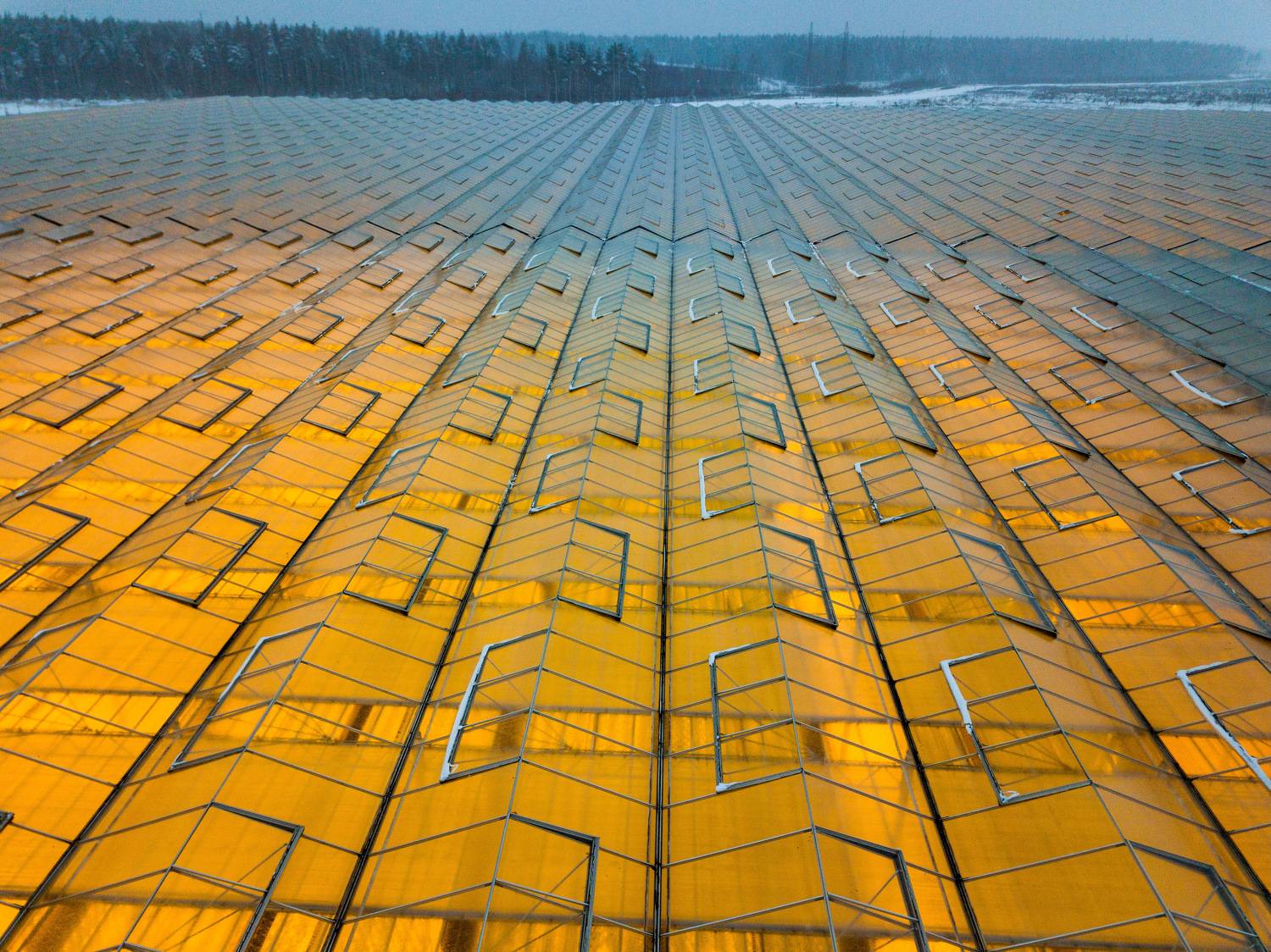 , Сергей Фаренюк