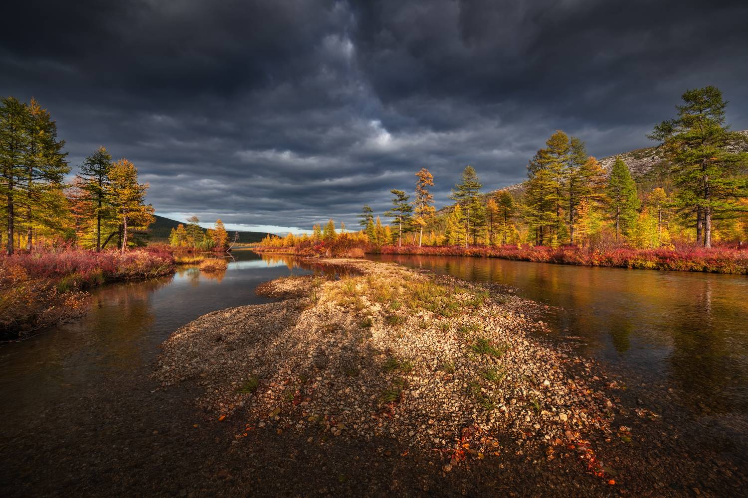 , Максим Евдокимов