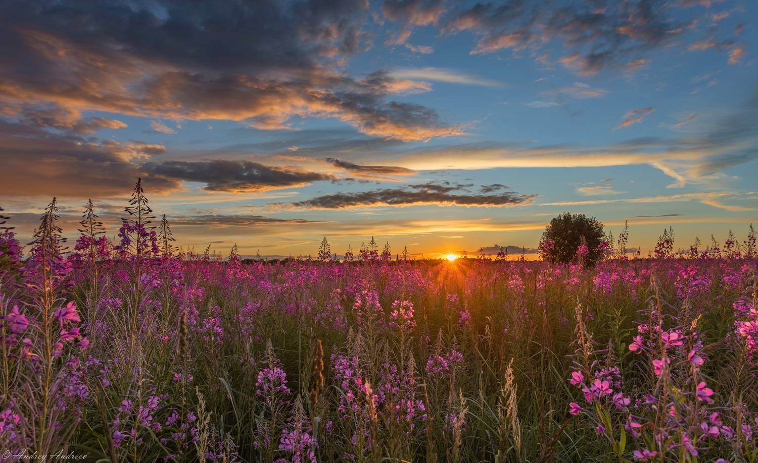 , Андреев Андрей