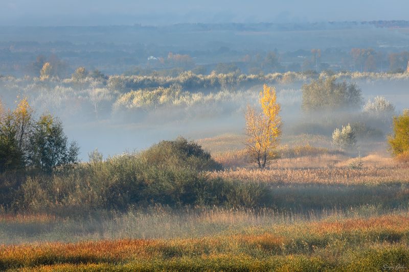 утро, туман, осень Осеннее утро фото превью