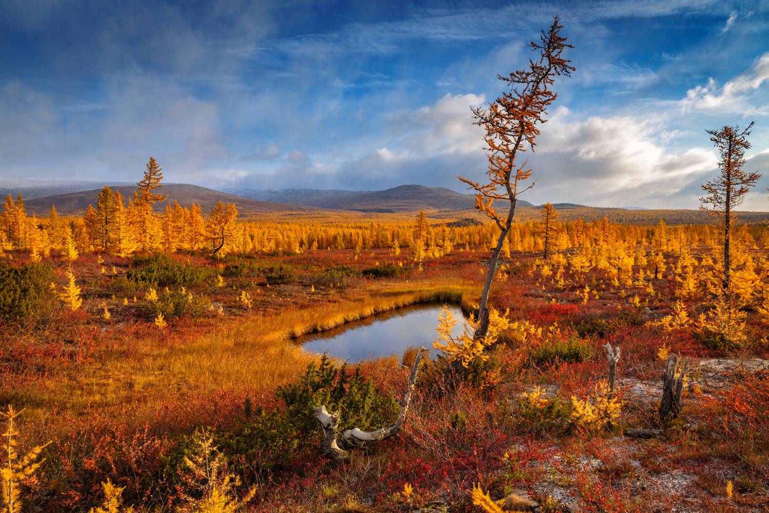 , Евгений Кужилев