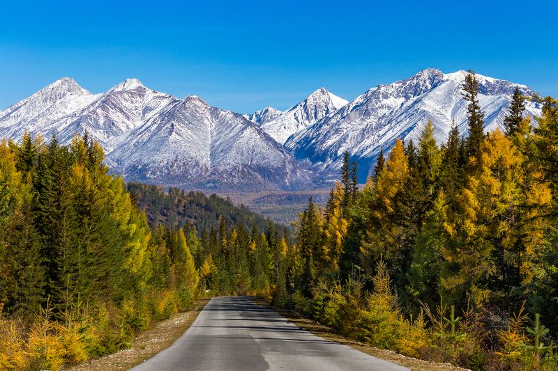 нилова пустынь, саяны Саяны. Дорога в Нилову пустынь. фото превью