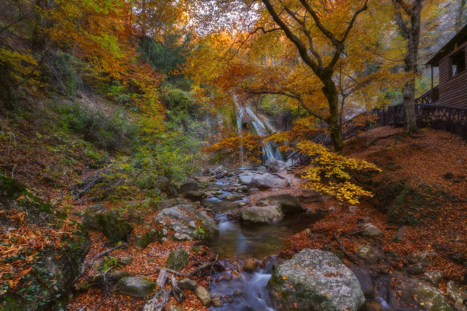 , Юлия Мальцева