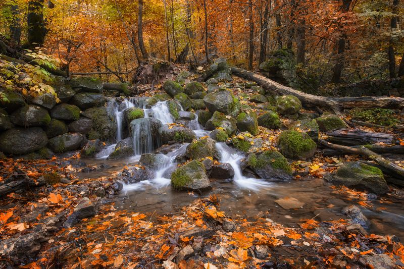 Осенние струи фото превью