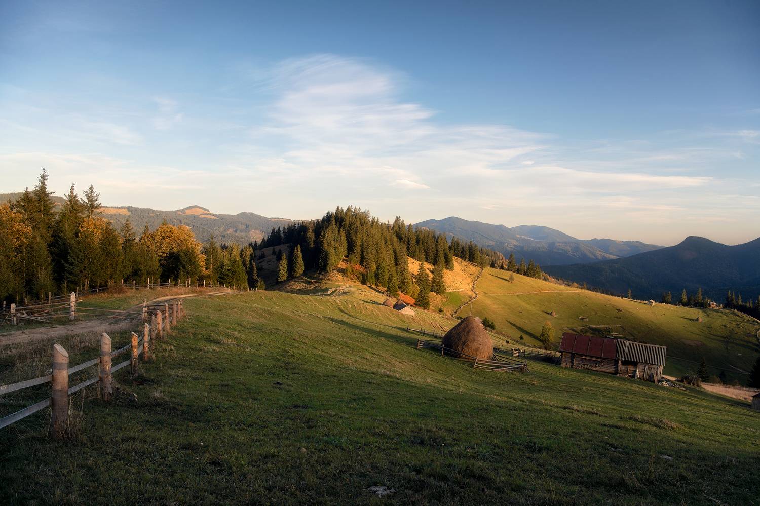 , Андрей Жила