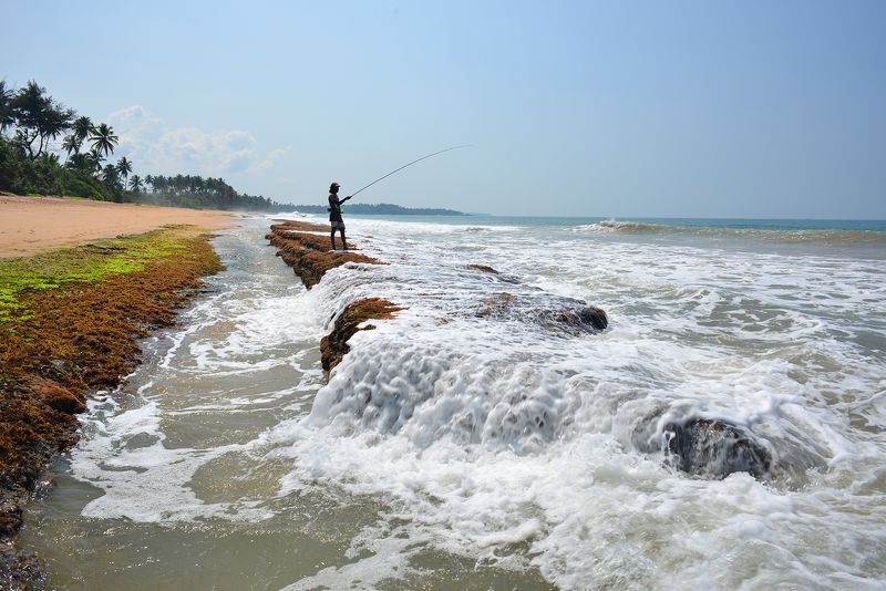 Рыбалка в ШРИ-ЛАНКЕ фото превью