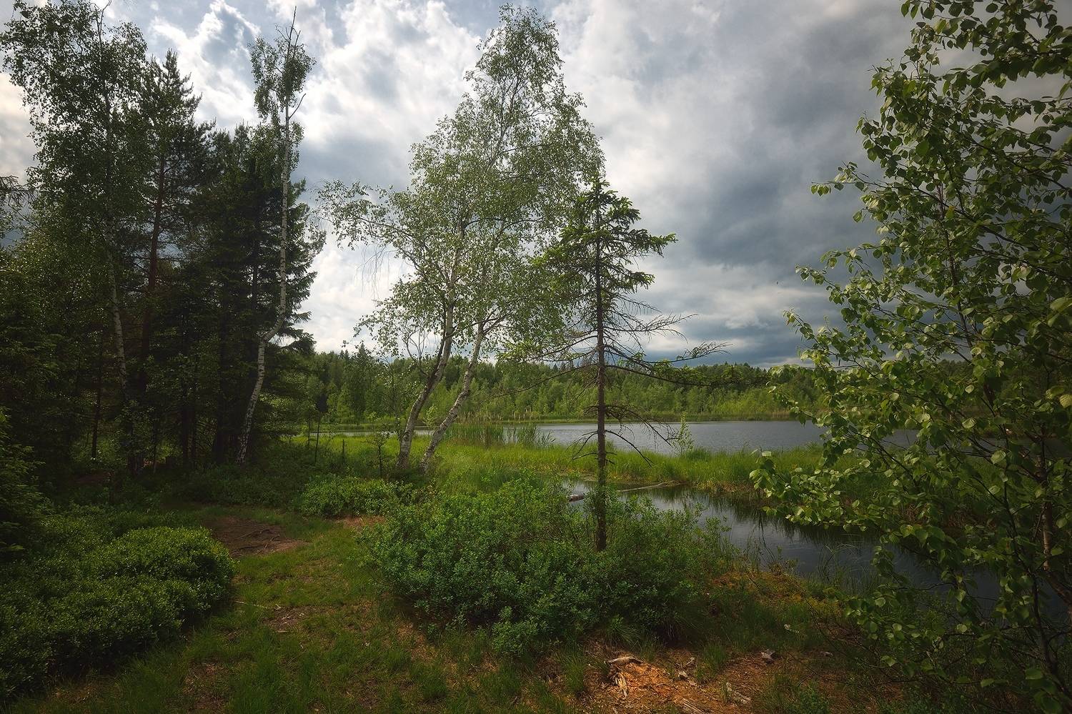 , Алексей Никонов