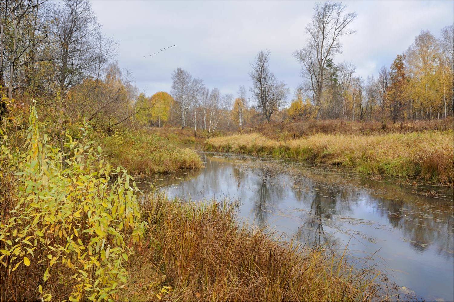 , Анатолий Гулин