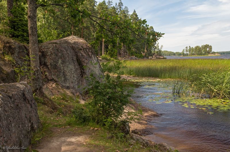 парк, монрепо, выборг, лето, пейзаж *** фото превью