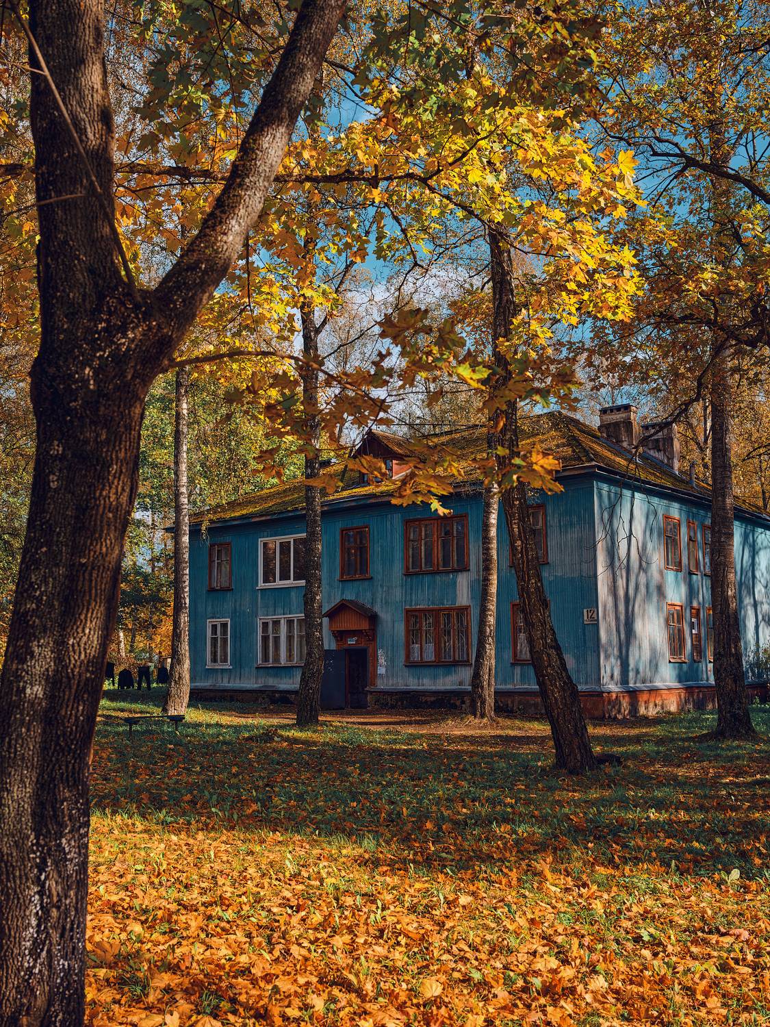 , Дмитрий Дыбов