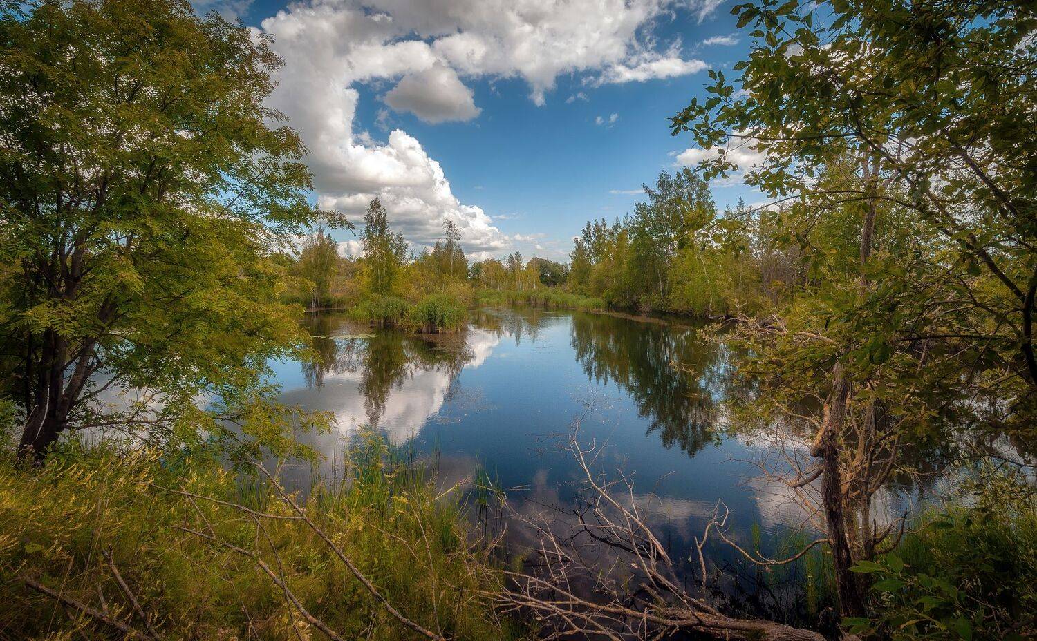 пруд, осень, Сергей Аникин