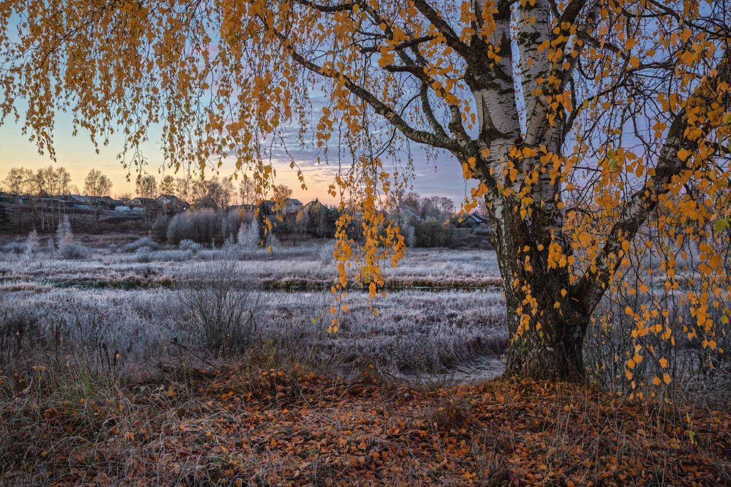 , Евгений Ерохин