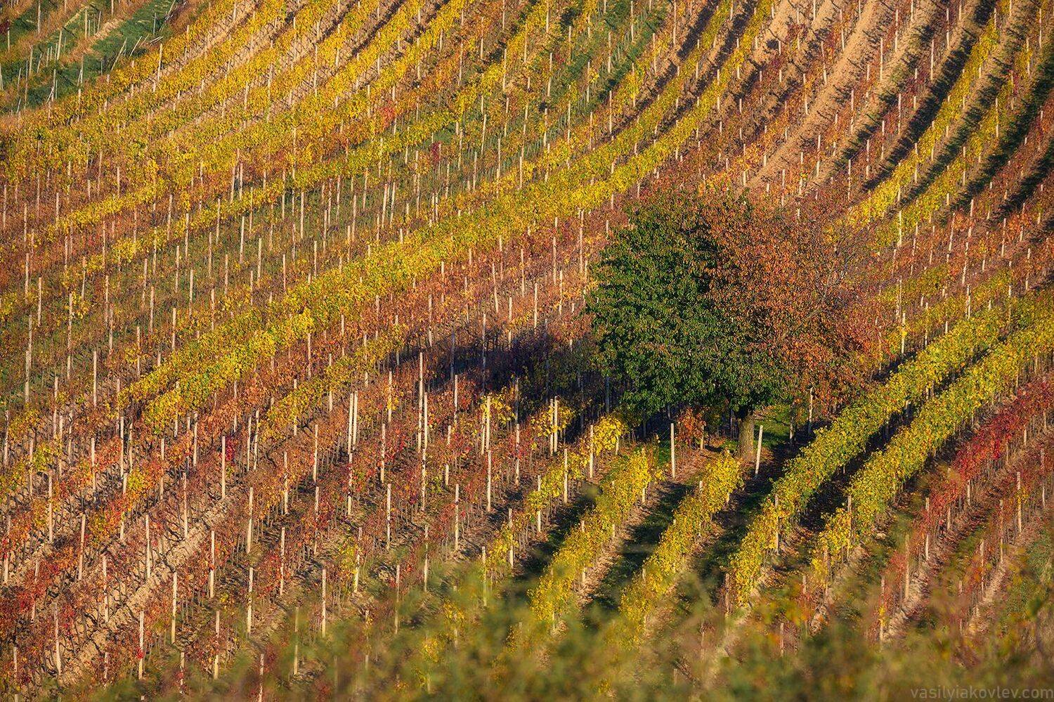 фототур, чехия, моравия, Василий Яковлев
