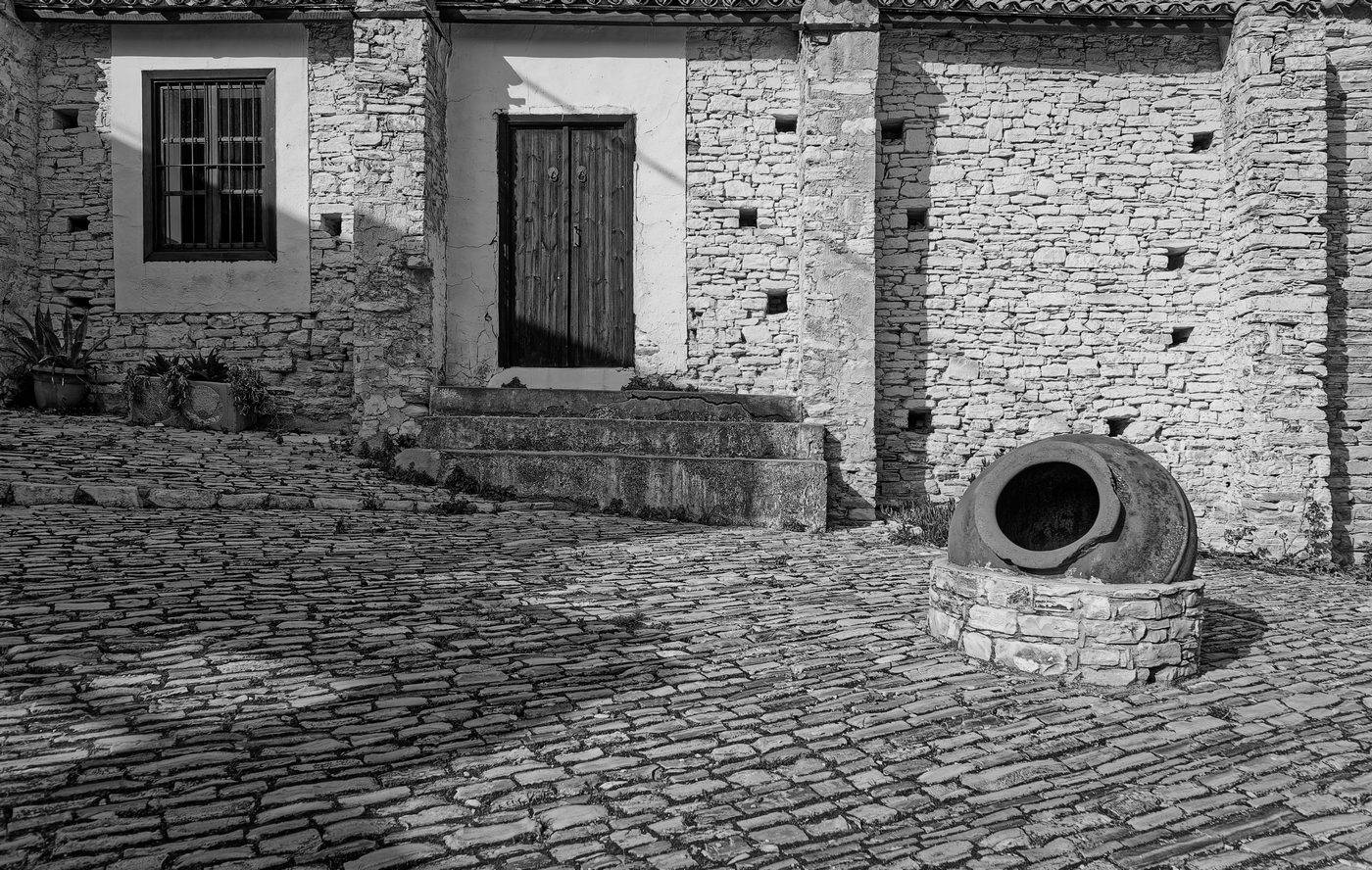 , David Solodar