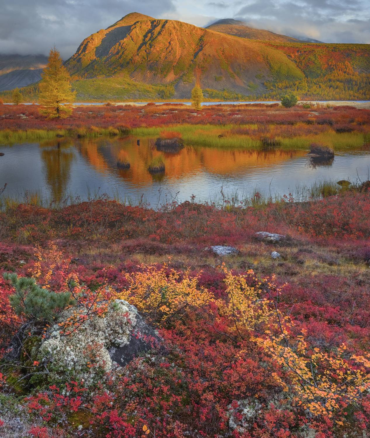 Фототуры с Владимиром Рябковым, #topnature #russpasibo #magic_shots #lovelyRussia #sunset_vision #exclusive_sky  #exclusive_shots #loves_russia2 #photoarena_nature #nature_sultans #nature_perfection #rsa_sky #rsa_sunset #photorussia #rsa_naturepics #sunse, Владимир Рябков