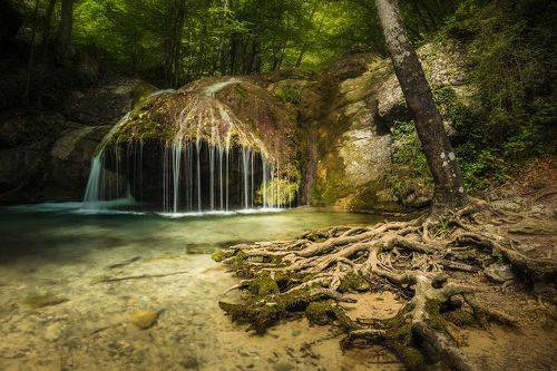 Летний полдень