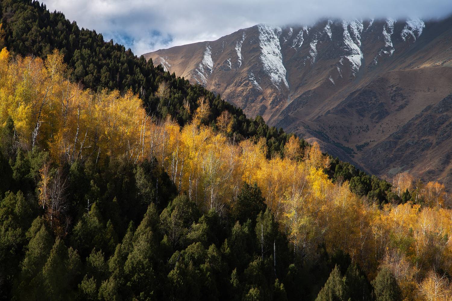 кыргызстан, ала-арча, Элина Магалимова