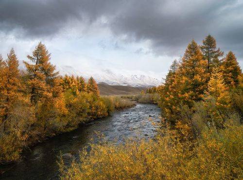 Позолота. / Gilding.
