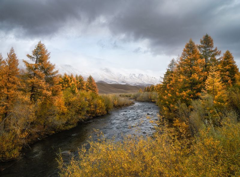 Позолота. / Gilding. фото превью