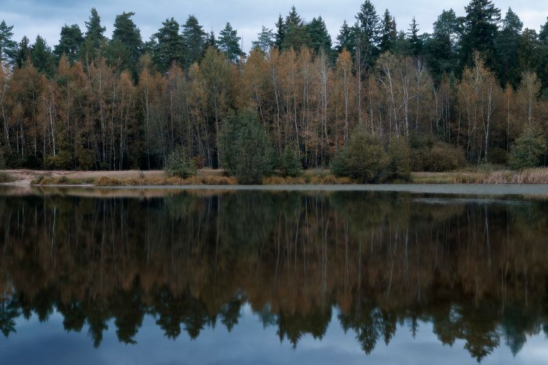 озеро, лес, отражения Отражения осеннего леса фото превью