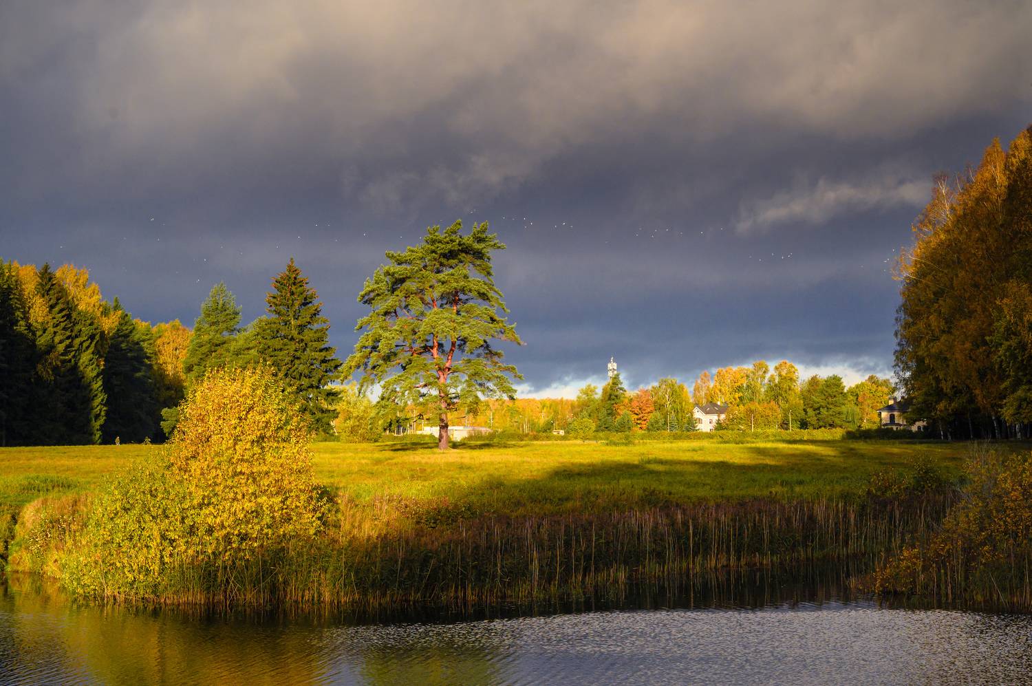 павловский парк, осень, Бабурин Олег
