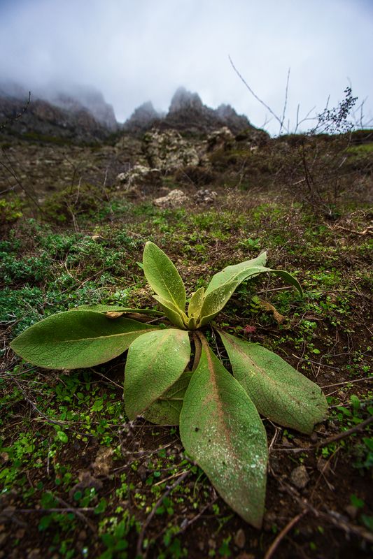 На пути к вершине фото превью