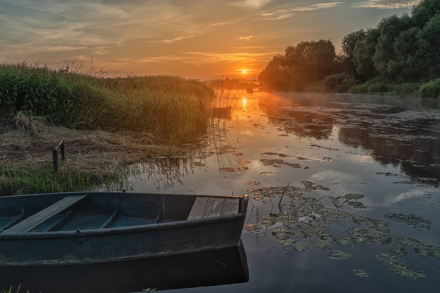 природа,пейзаж,река, Дунилово,Россия, Лариса Дука