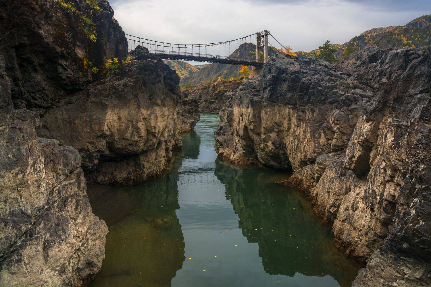 россия, горный алтай, река катунь, мост, каньон,расще́лина, осень, Андрей Поляков