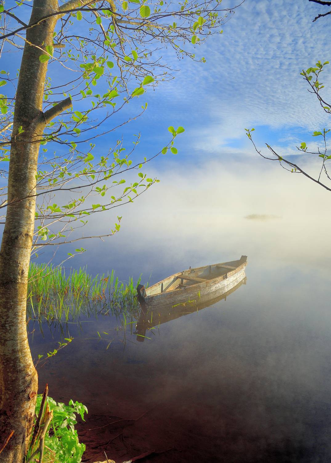 , Руслан Авдевич