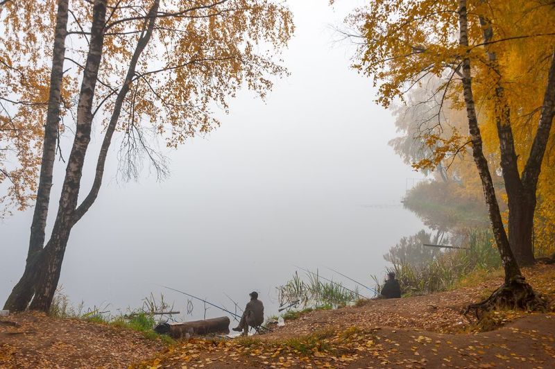 На берегу осенней реки фото превью