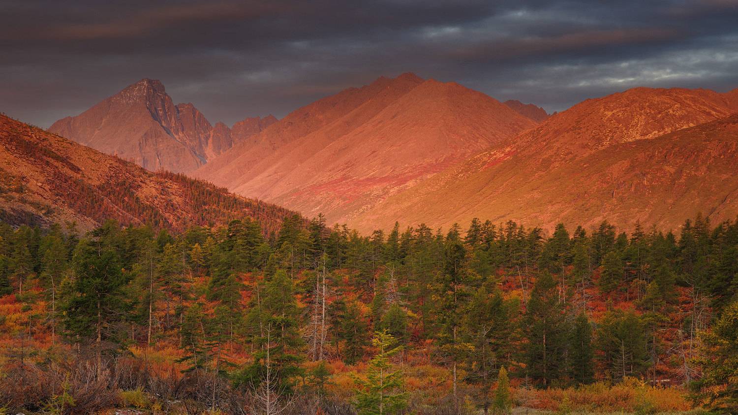 , Морозов Сергей