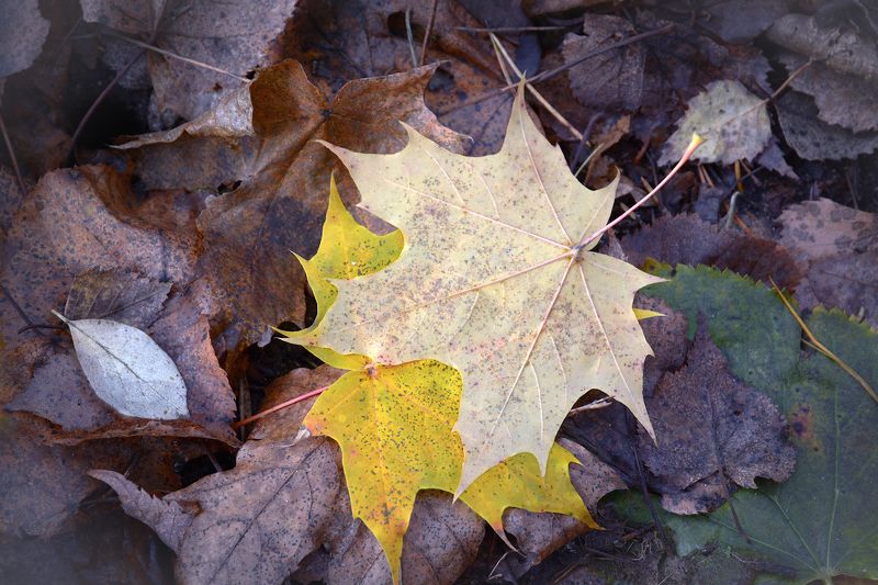 Ты, да я, да мы с тобой ... фото превью