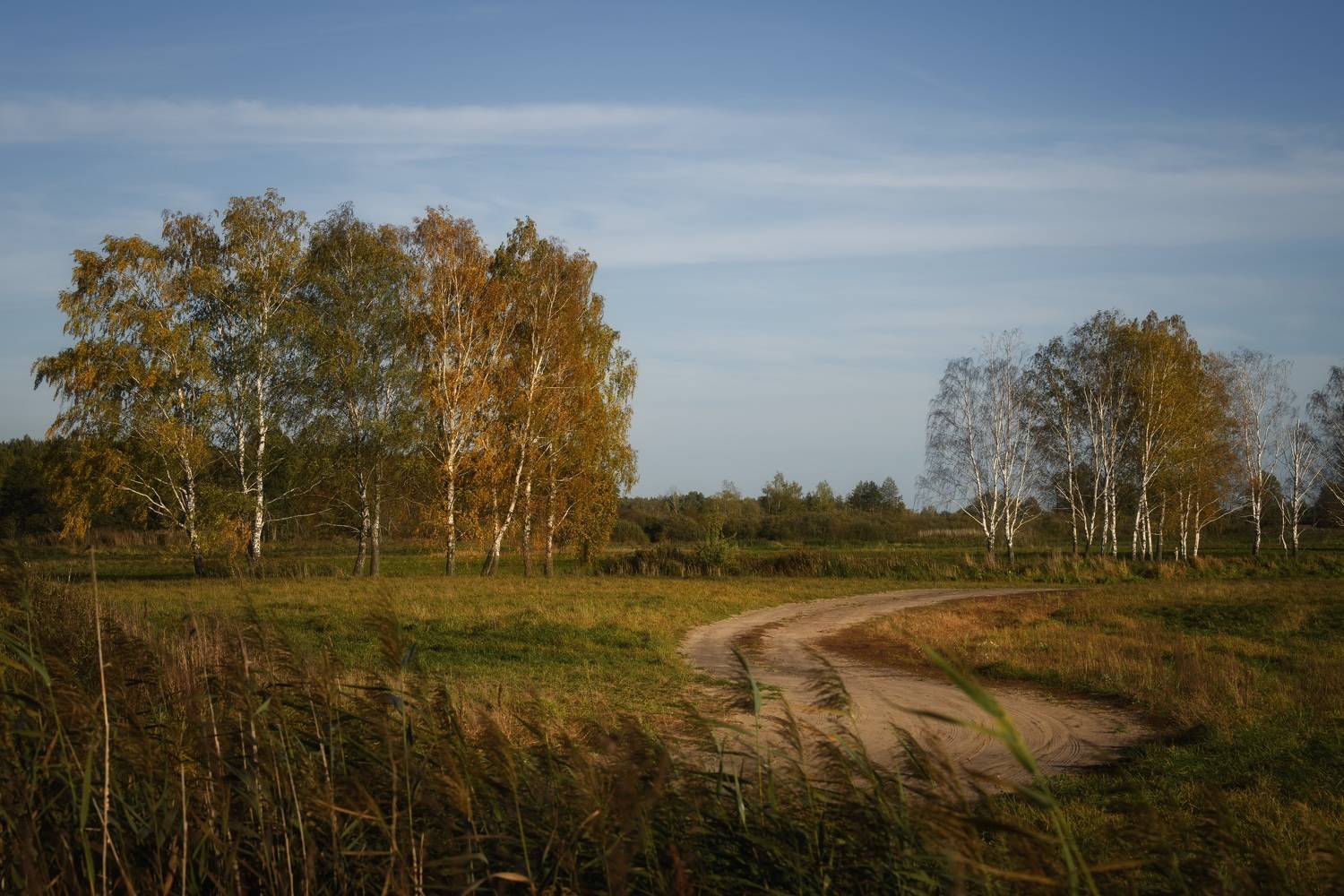 , Pavel Tsimashenka